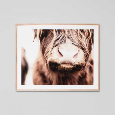 MIDDLE OF NOWHERE Large Oak Framed Print Highland Cow 81x101cm-0