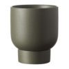 EVERGREEN COLLECTIVE Finch Pot Cypress - 2 Sizes-30686