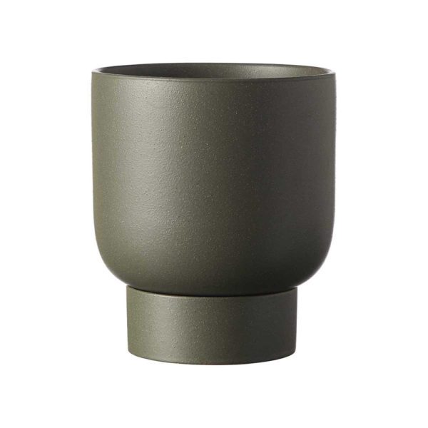 EVERGREEN COLLECTIVE Finch Pot Cypress - 2 Sizes-30684