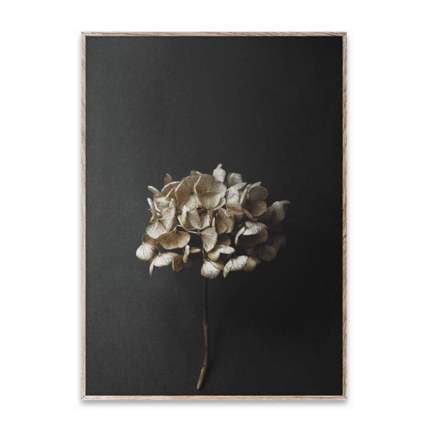 PAPER COLLECTIVE PIA WINTHER Still Life 04 Poster Art Print, 70x100cm-0