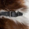 WILD ONE Dog Collar, Black – 3 Sizes
