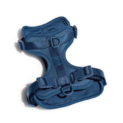 WILD ONE Dog Harness, Navy, Small