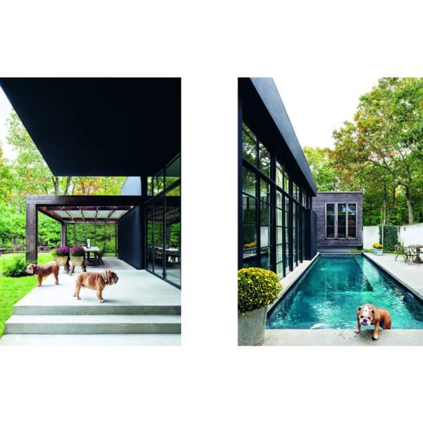 A excerpt from Nicole England's Resident Dog Coffee Table Book featuring dogs emerging out of a swimming pool next to a large house.