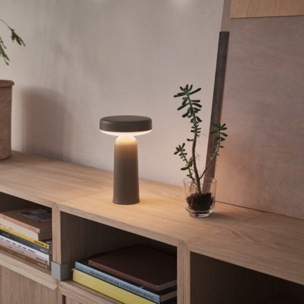 a taupe lamp sitting on an oak sideboard next to a small plant
