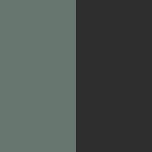 Charcoal/Green