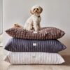 OYOY ZOO Kyoto Dog Cushion, 2-Sizes, Choc