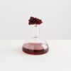 MAISON BALZAC Bordeaux Wine Decanter, Clear/Amber