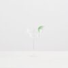 MAISON BALZAC Margarita Glass, Clear/Green