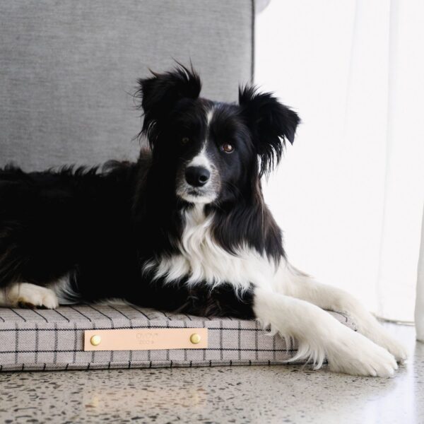 OYOY ZOO Milo Grid Dog Cushion
