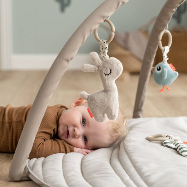 Baby play gym and mat is great for play time and baby sensory.
