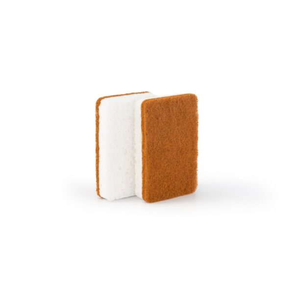 Studio lighting, perspective view of a cellulose sponge.
